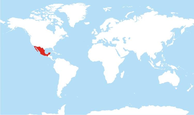 kaart van Mexico wereldwijd