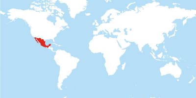 Kaart van Mexico wereldwijd