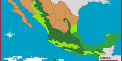 Kaart van Mexico bossen