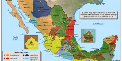 Mexicaanse kartel kaart