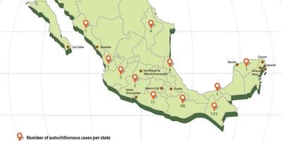 Zika Mexico kaart